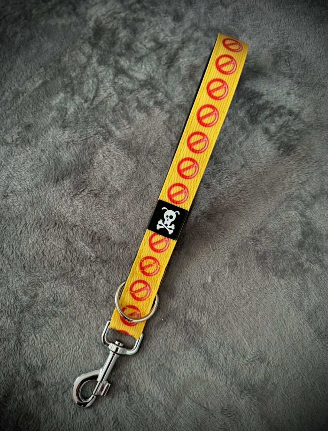 Reactive Collection Korthouder