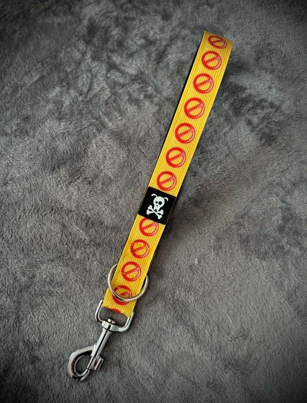 Reactive Collection Korthouder