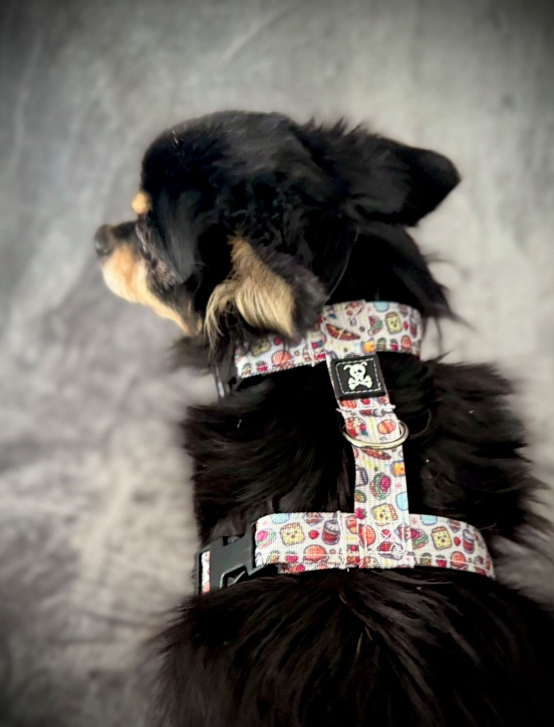 H-Harnas S Snackmaster