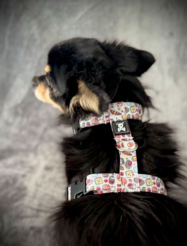 H-Harnas S Snackmaster