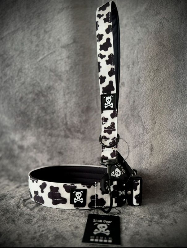 Korthouder Mooh Point