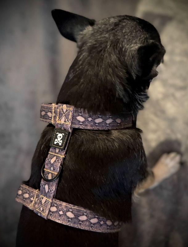 H-Harnas S Snakeskin