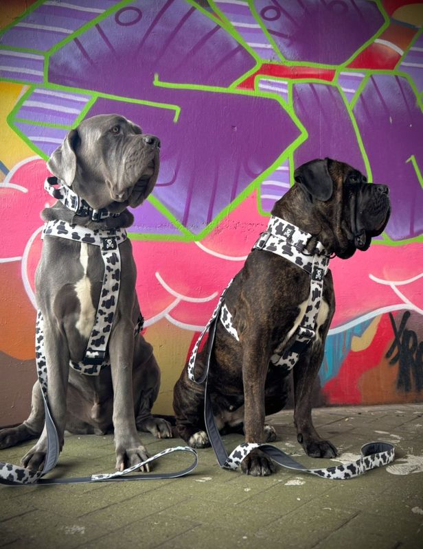 Harnas Mooh Point maat L