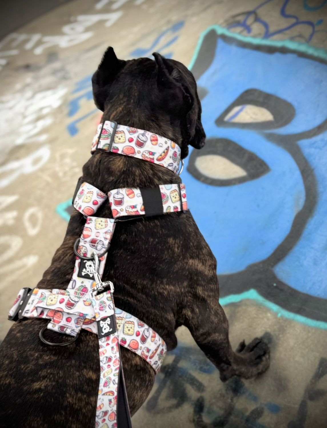 Harnas Snackmaster maat L