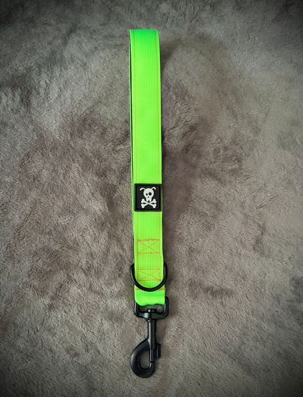 Korthouder Neon Green