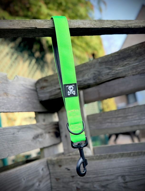 Korthouder Neon Green