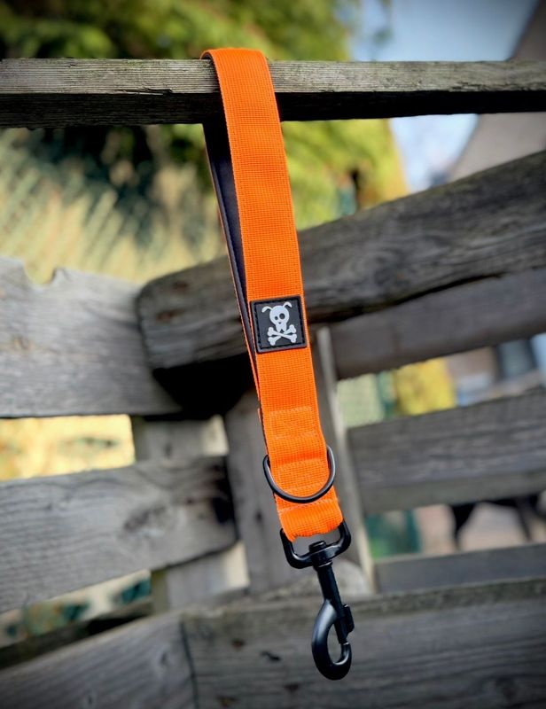 Korthouder Neon Orange