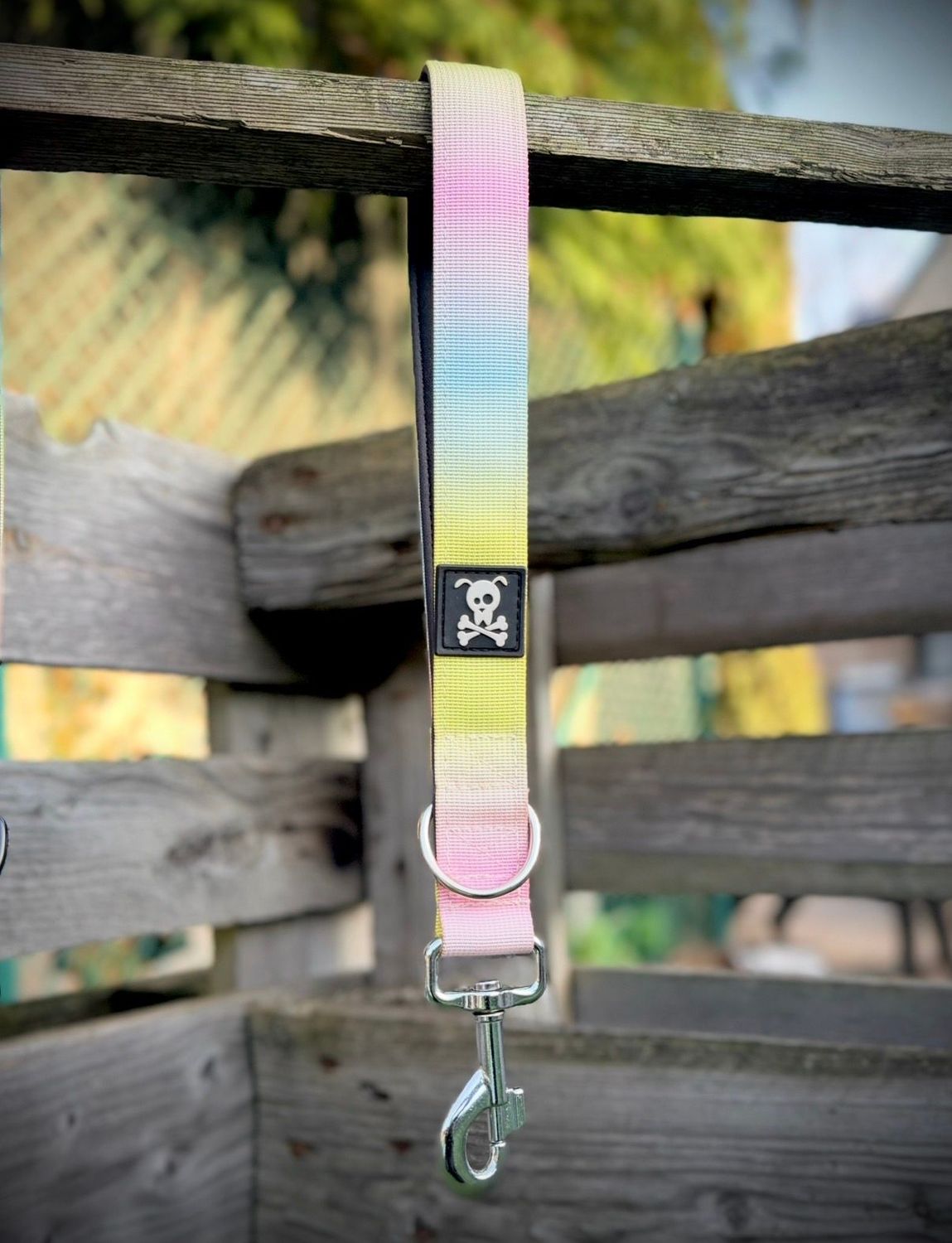 Korthouder Cotton Candy