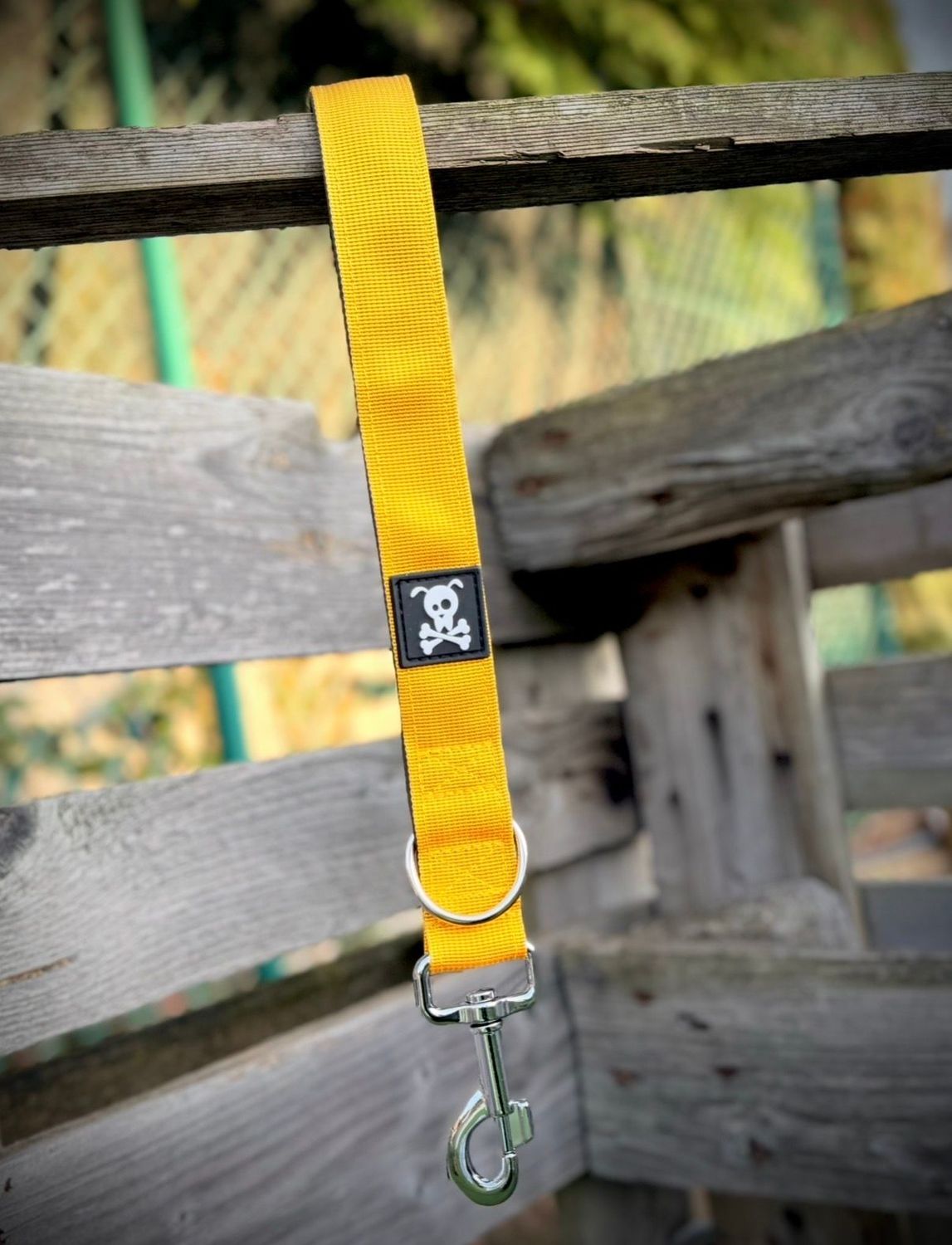 Korthouder Sunshine Yellow