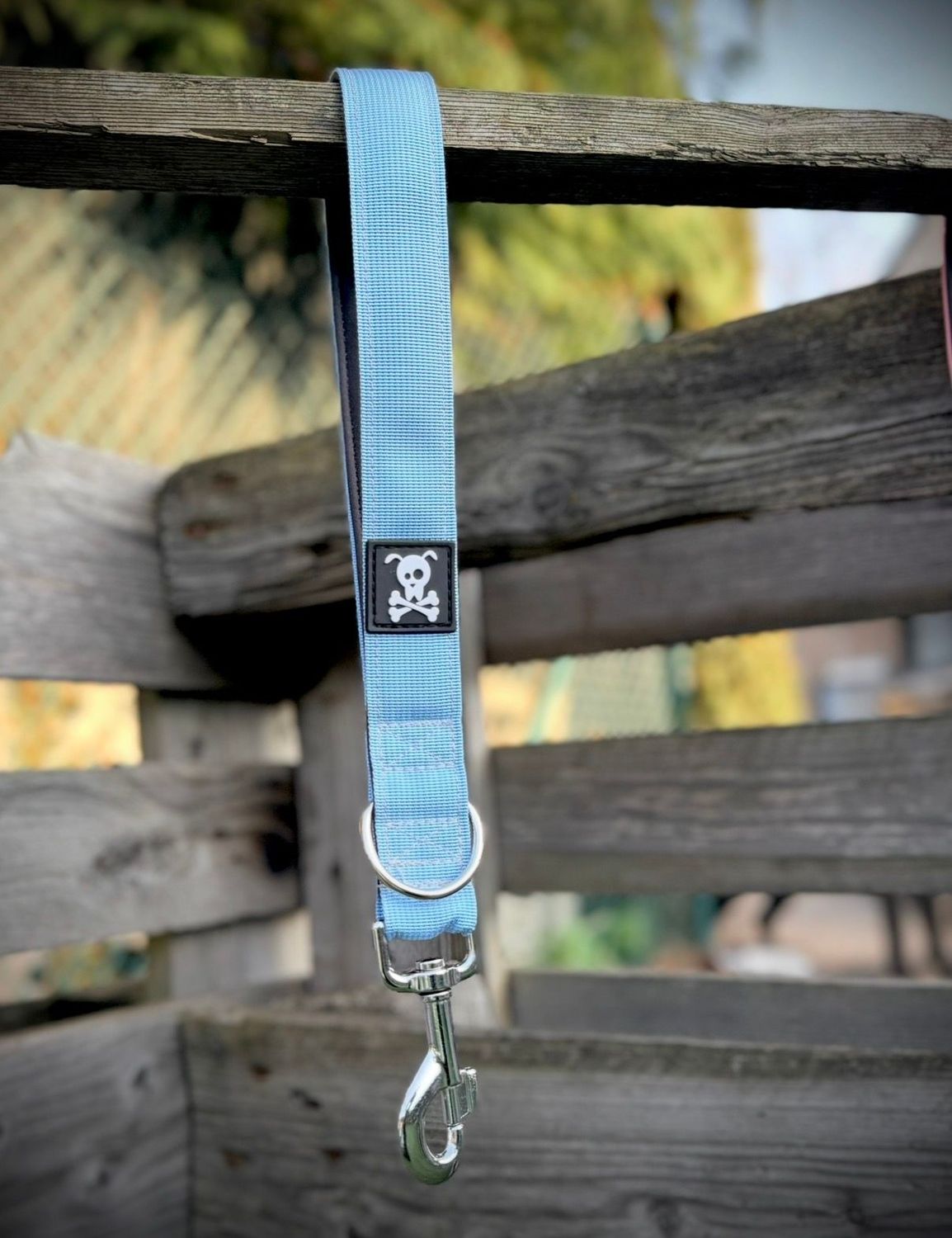 Korthouder Baby Blue