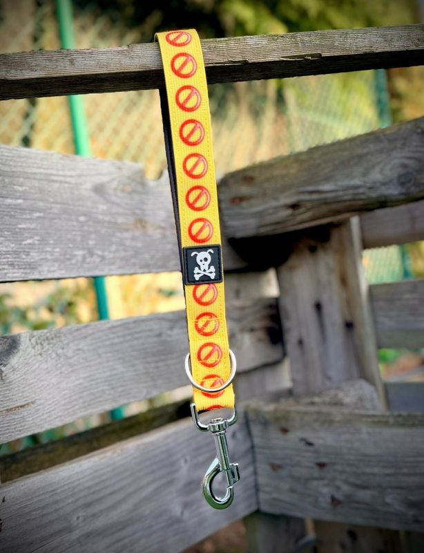 Reactive Collection Korthouder