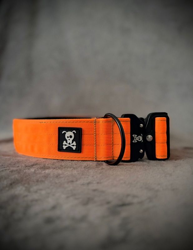 Halsband Neon Orange maat XL