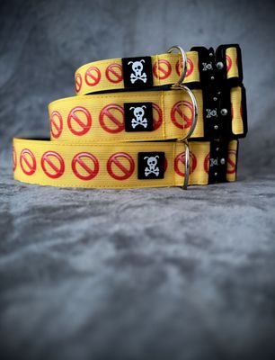 Reactive Dog Collection