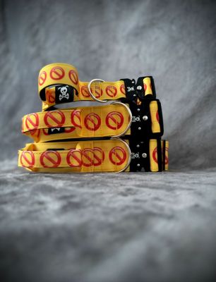 Reactive Dog Collection