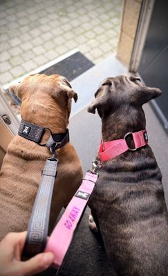 Skull Gear Sliphalsband Standaard