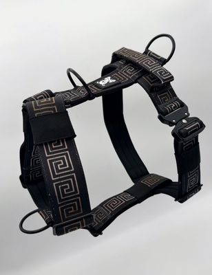 Heavy Duty harnas