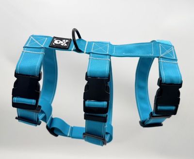 Optie driepuntstuigje/anti-ontsnappingstuigje