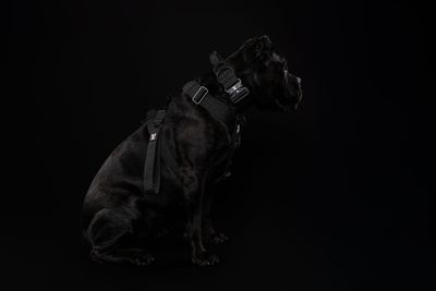 Blackout Collection