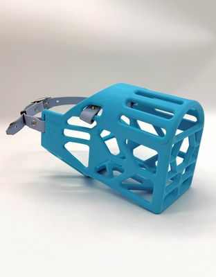 Aqua Blue Basic