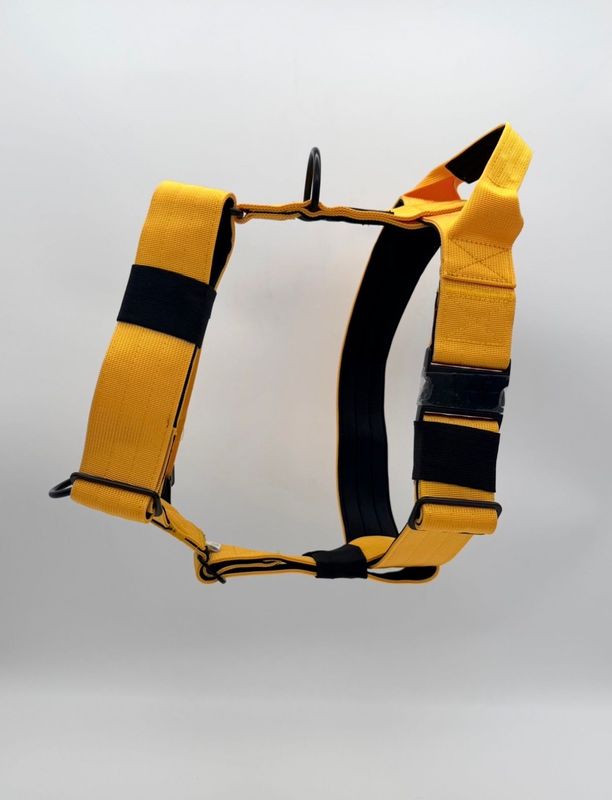 Harnas Sunshine Yellow maat M