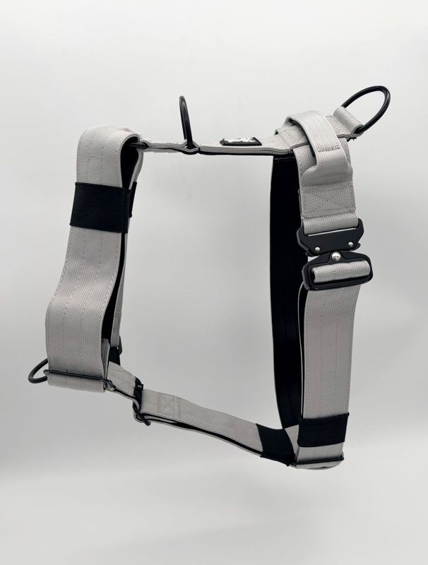 Harnas Silver Star maat M