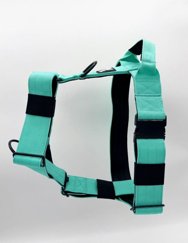 Harnas Minty Green maat XL