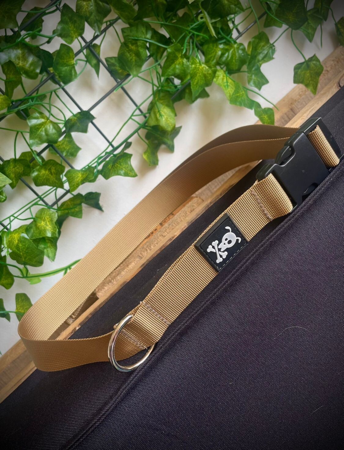 Utility Belt Olive Gold