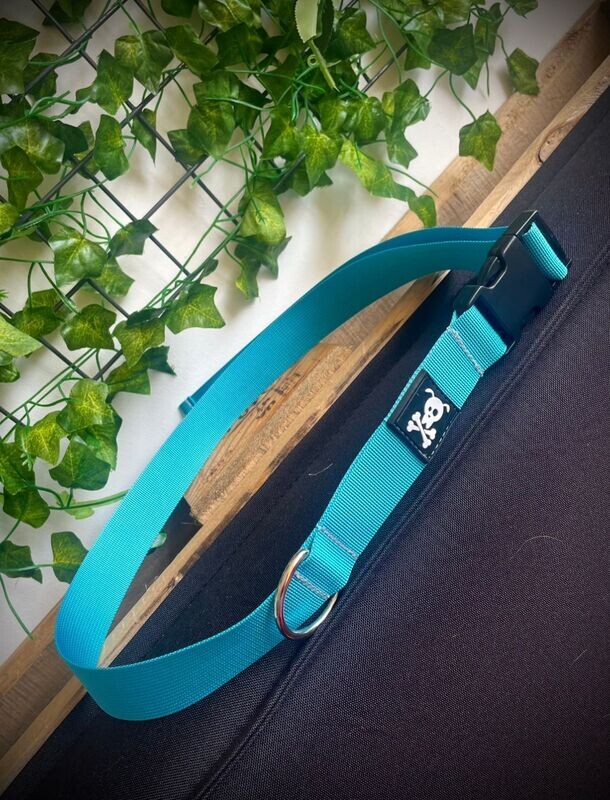 Utility Belt Ocean Blue
