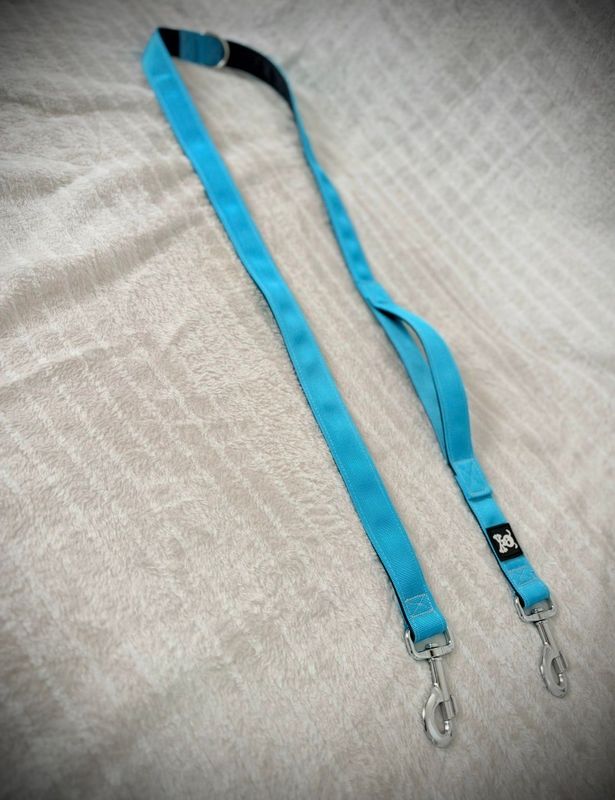 Skull Gear Jogger Ocean Blue