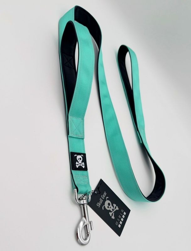 Standaardlijn met extra handvat Minty Green