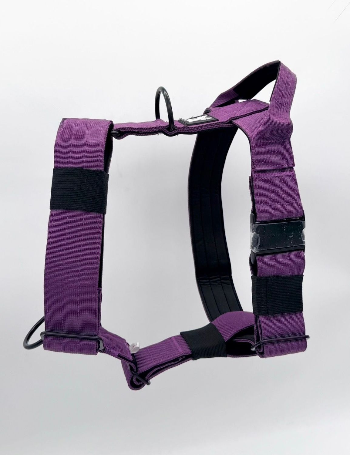 Harnas Purple Rain maat M