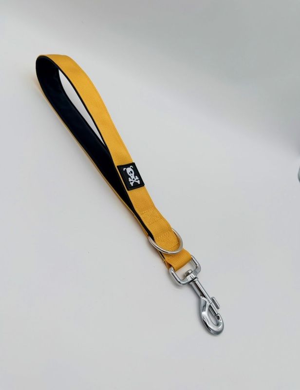 Korthouder Sunshine Yellow