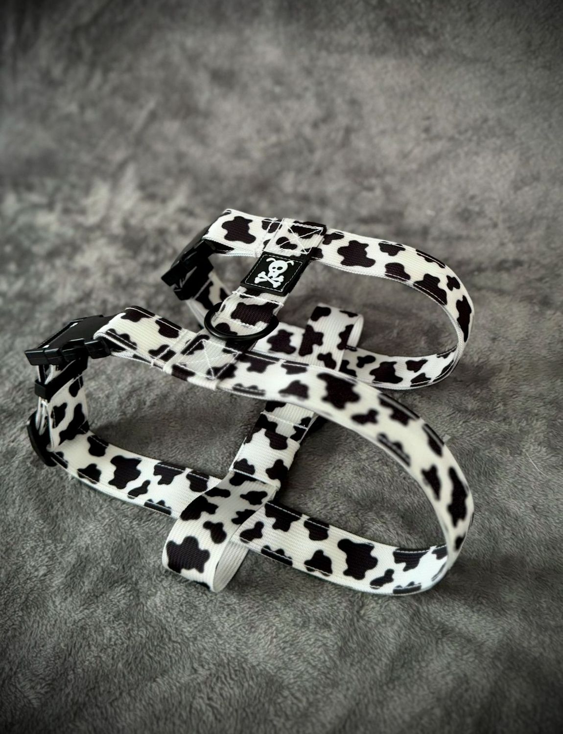 H-tuigje M Mooh Point