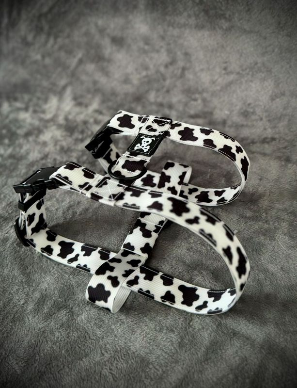 H-tuigje M Mooh Point