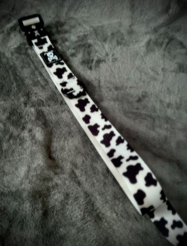 Utility Belt Mooh Point