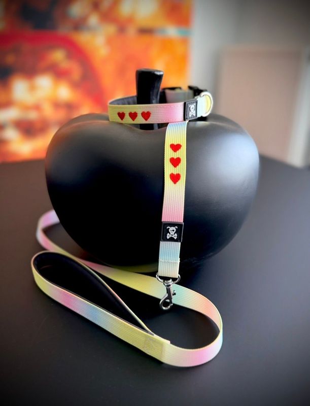 Setje Tiny standaardlijn + Classic halsband S Cotton Candy