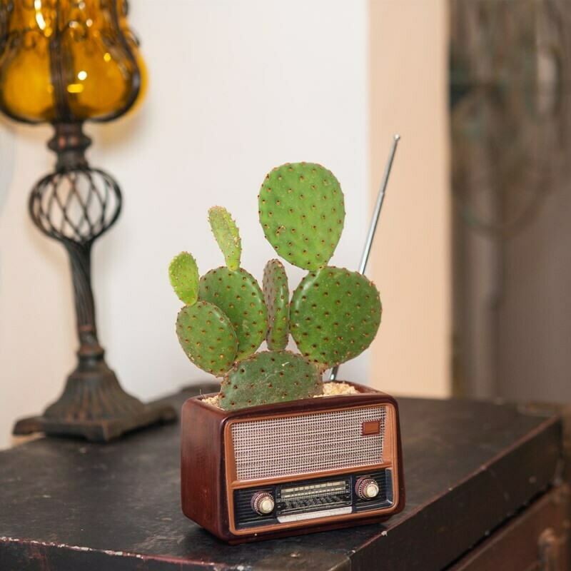 Old Radio-Shaped Flower Vase Old Radio-Shaped Flower Vase