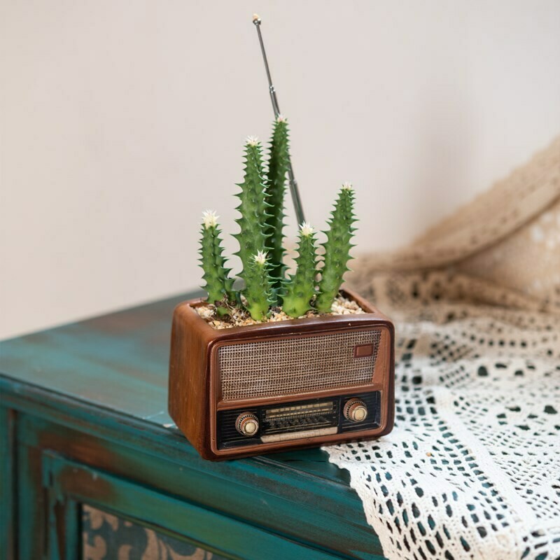 Old Radio-Shaped Flower Vase Old Radio-Shaped Flower Vase