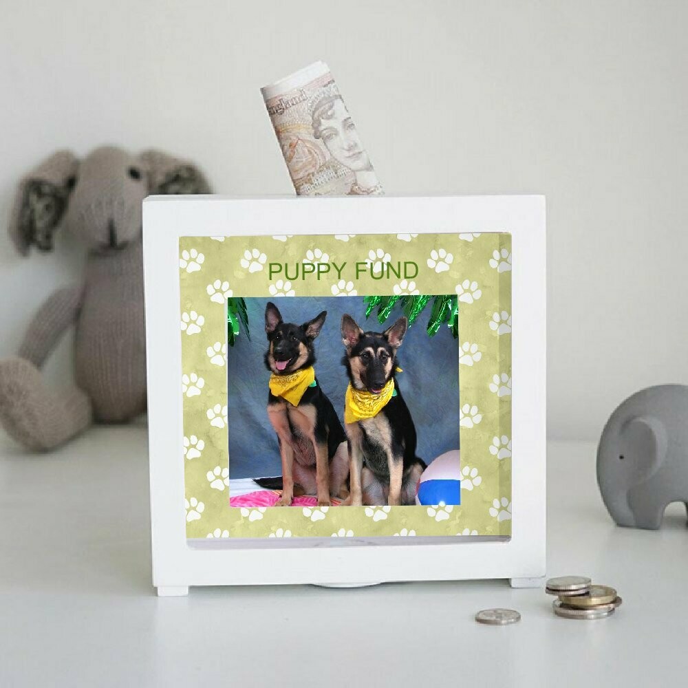 Personalized Pet Bank With Paw Print Mat
