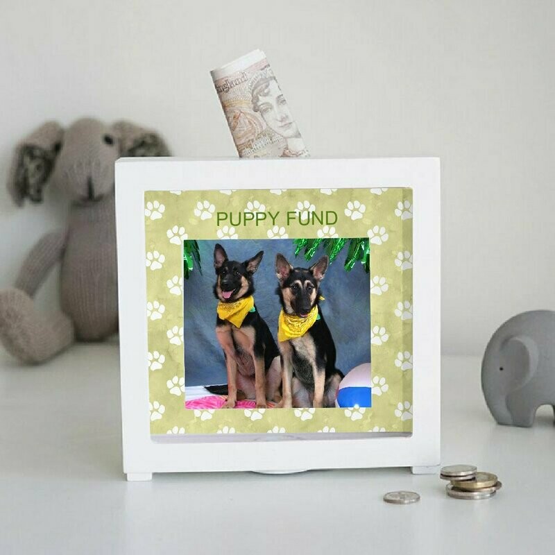 Personalized Pet Bank With Paw Print Mat