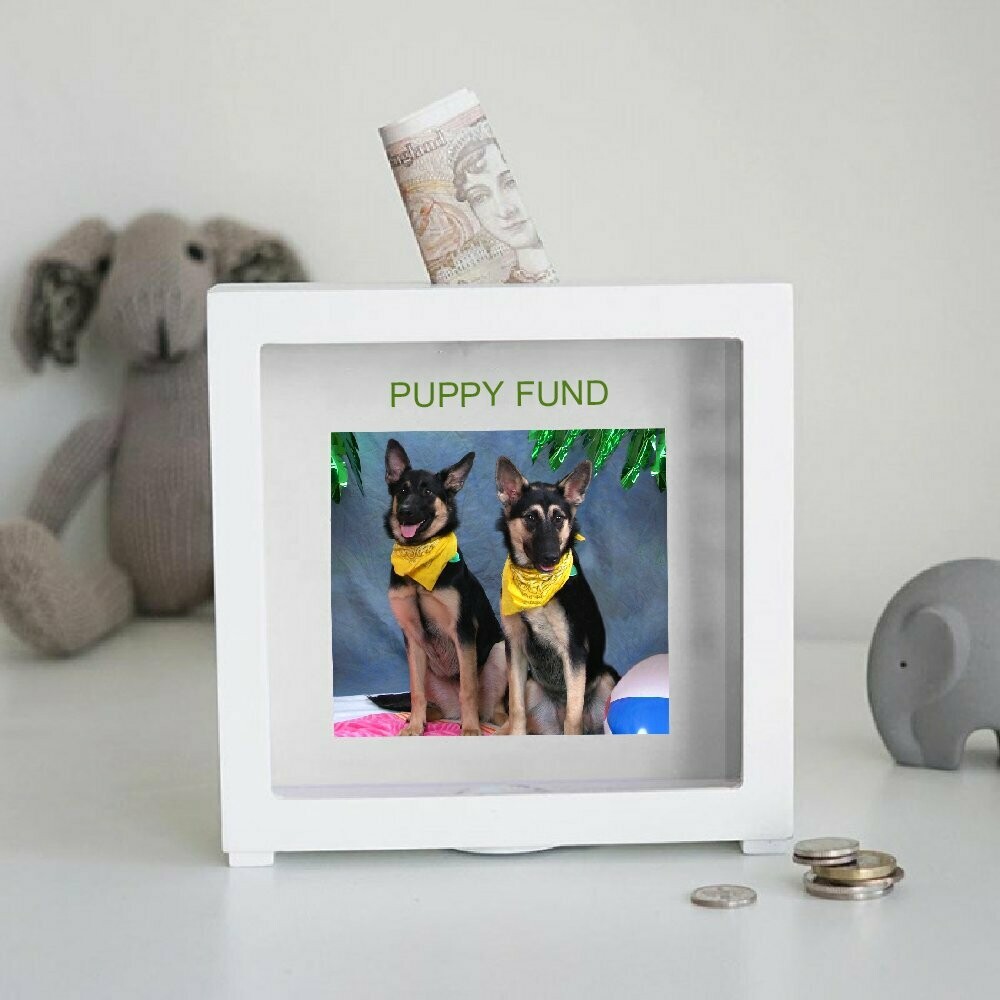 Personalized Pet Bank With Plain Mat