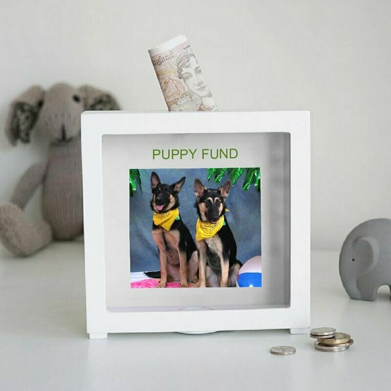 Personalized Pet Bank With Plain Mat