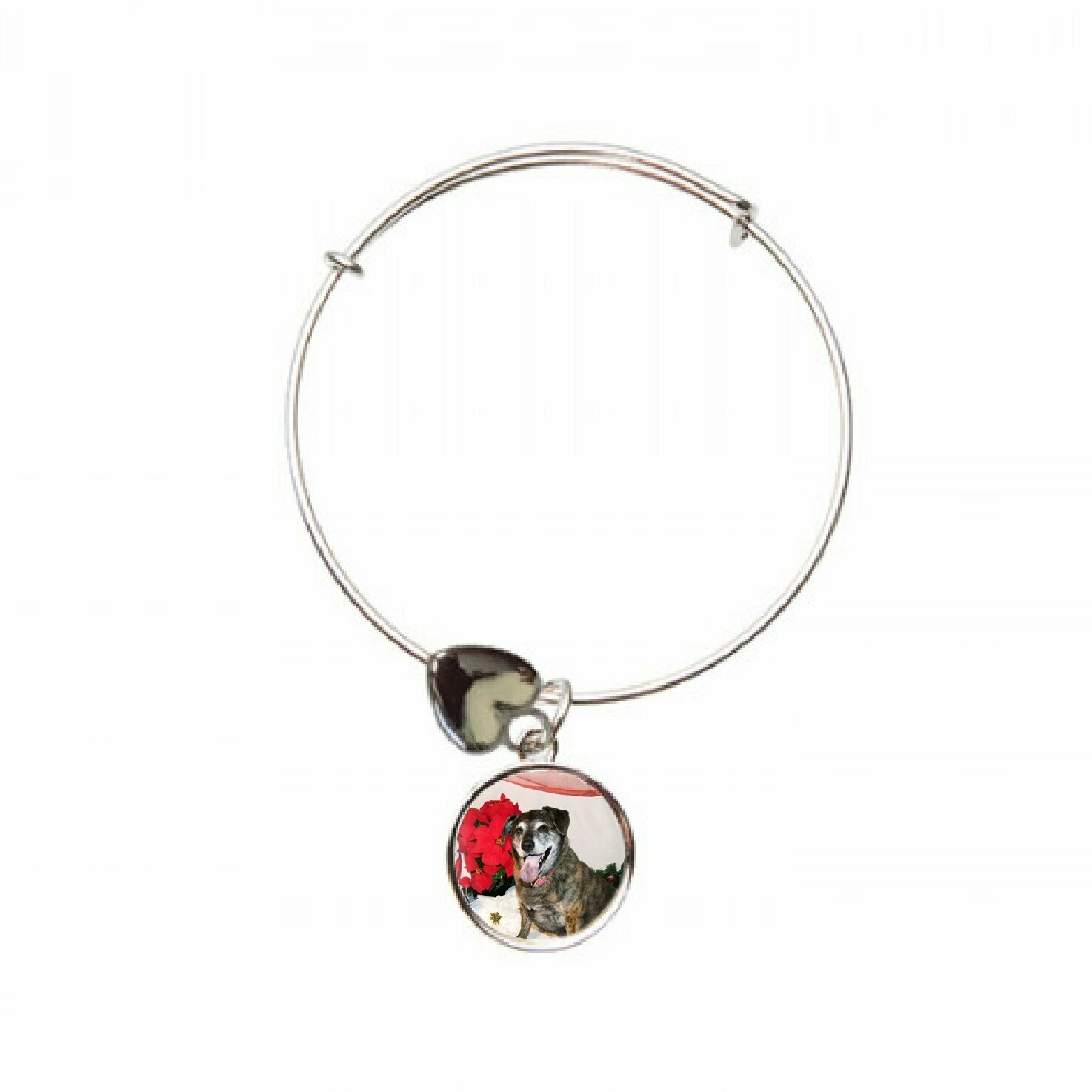 Photo Pet Bracelet