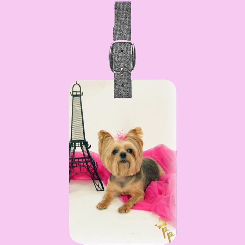 Pet Photo Bag Tag