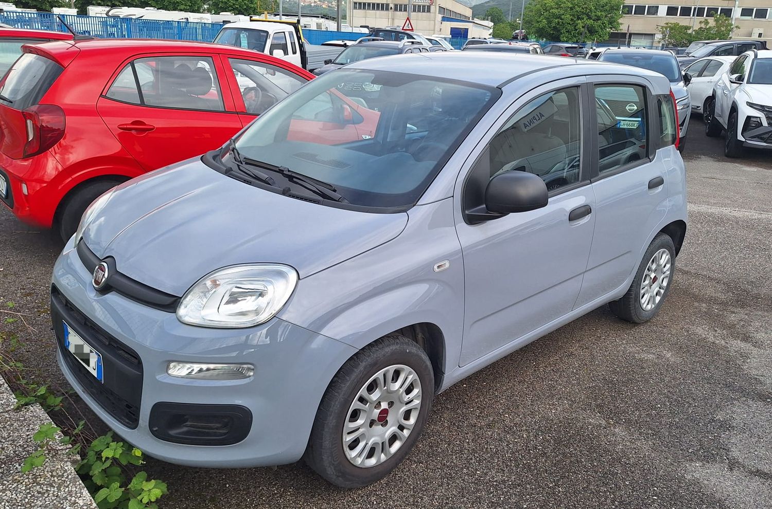 FIAT PANDA 1.2 EASY NEOPATENTATI solo KM 45 MILA - 11.2020