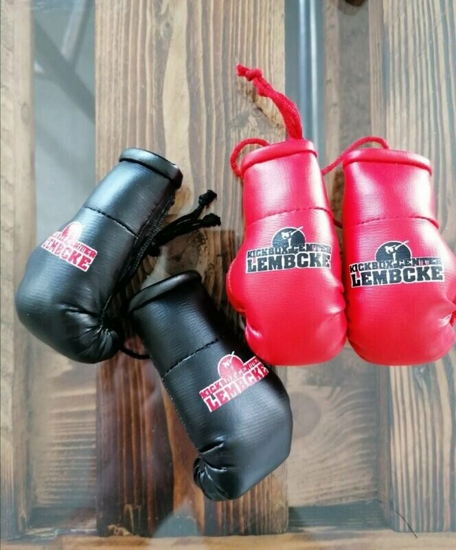 Mini Boxhandschuhe