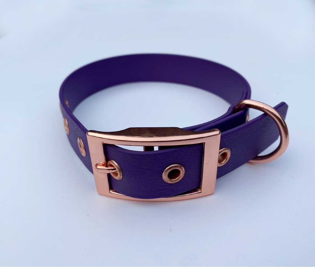 Violet Biothane Dog Collar
