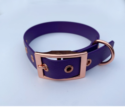 Violet Biothane Dog Collar
