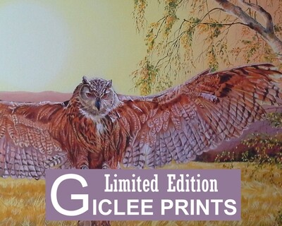 Limited Edition Giclee Prints