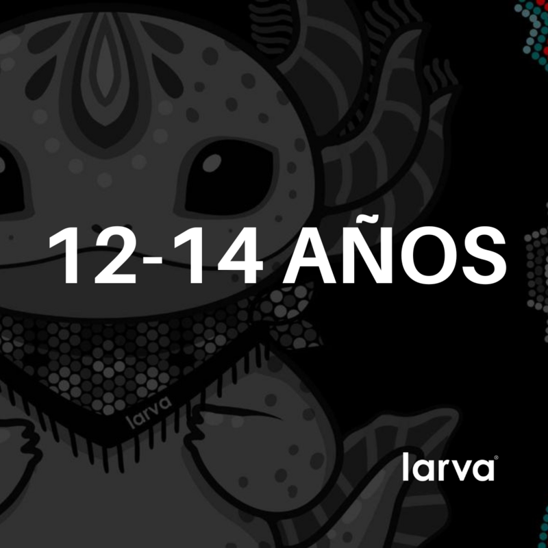 D 12-14 AÑOS
